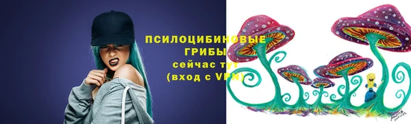 СК Абаза