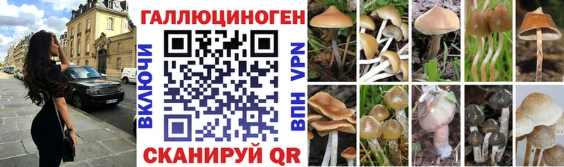 Галлюциногенные грибы MAGIC MUSHROOMS  Камень-на-Оби 